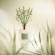 thumbnail image 4 of Difusor Reed Cocorrína Bamboo Stream Scent, 200 ml, con 8 barras, 4 of 7