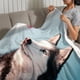 thumbnail image 3 of Husky Siberiano anti-pilling, suave, ligera, esponjosa y acogedora de lujo para hogar y cocina – Perfecta para niños y adultos,100X130cm, 3 of 6