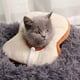 thumbnail image 2 of Collar Isabelino Suave Ajustable Pan De Molde S, 2 of 3
