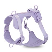 Arnés Paws Lila / Xs