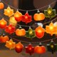 thumbnail image 1 of Luces de cadena LOLStar 3 m 20 LED Naranjas para decoración de otoño, 1 of 8