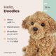 thumbnail image 2 of Perro de peluche Bearington Caramel Doodles Labradoodle 33 cm, 2 of 6