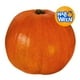 thumbnail image 1 of Calabaza Halloween, 1 un, 1 of 3