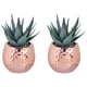 thumbnail image 3 of Set de Suculentas Decorativas Porcelana Cobre 3 Piezas, 3 of 4