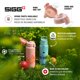 thumbnail image 4 of Botella de agua Sigg WMB Pathfinder Shy Pink 1 L de aluminio, 4 of 6