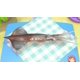 thumbnail image 5 of Ravenscourt Cooking Mama: Cookstar – Videojuego, 5 of 6