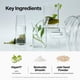 thumbnail image 5 of Mascarilla Facial Seaweed Detox De Arcilla Con Algas 200 Ml, 5 of 8