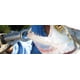 thumbnail image 4 of Boga-Grip 130 - Balanza de 30 libras para pesca, 4 of 7