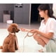 thumbnail image 4 of Correa para perro Pet Life Ever-Craft de madera de haya y cuero, 4 of 7