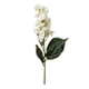 thumbnail image 1 of Planta Artificial Mini Hortensia Crema 90 Cm, 1 of 2
