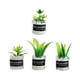 thumbnail image 3 of 4 Uds. Casa De Muñecas A Escala 1:12 Modelo De Plantas En Miniatura Pequeño Bonsái Para Casa De Muñecas Estilo A, 3 of 5