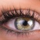thumbnail image 5 of Sérum Organys para pestañas y cejas para una apariencia de crecimiento, 5 of 9