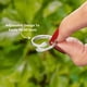 thumbnail image 4 of Anillo Abrazo Para Nieta Ajustable Plata - Project Hope Rings, 4 of 6