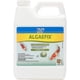 thumbnail image 1 of Botella API POND ALGAEFIX de 32 oz para el control de algas FISHAQUARI, 1 of 4