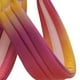 thumbnail image 2 of Pidan® Arnés Para Mascotas - Pet - Mediano, 2 of 3