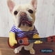 thumbnail image 3 of Disfraz Coco L, 3 of 3