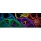 thumbnail image 5 of Pintura en Spray Automotriz Dupli-Color MC206 Negro Ahumado 311g, 5 of 5