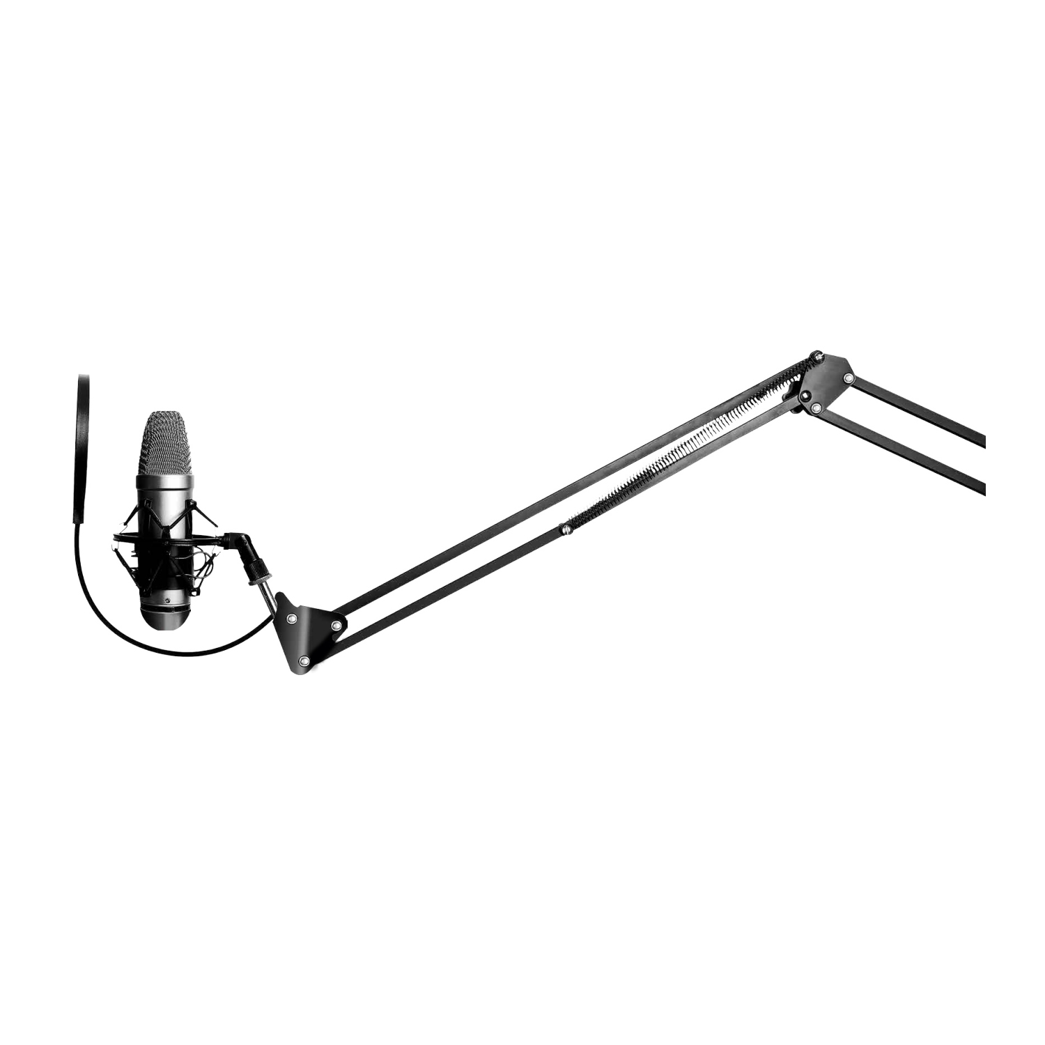 Audiopro - Atril Articulado Ajustable Para Micrófonos - Ps