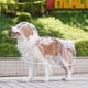 thumbnail image 1 of Xiao Hua Impermeable, a Prueba de Viento, Impermeable con Capucha para Perro Adecuado para Perros Pequeños, Medianos y Grandes, Impermeable Transparente de Plástico a la Moda para Mascota, Tamaño, 1 of 4