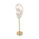 thumbnail image 3 of Soporte de exhibición de aretes, organizador de joyas, modelo de oreja, soporte de perno, accesorios de exhibición de fotografía, soporte de maniquí d Oído Izquierdo Blanco, 3 of 5