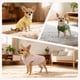 thumbnail image 3 of Pack de 3 camisas COOHAMS de punto gofrado para perros y gatos, 3 of 7