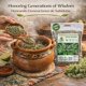 thumbnail image 5 of Té Herbal B-Experts Estafiate 100% Natural 114 g Hojas Sueltas, 5 of 9