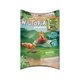 thumbnail image 1 of Conjunto de Juego Playmobil Wonderful Planet Ardillas, 1 of 3