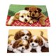 thumbnail image 1 of Juego De 2 Juegos De Ganchos Para Perros Con Herramienta Básica E Instrucciones Para Hacer Alfombras, 1 of 5