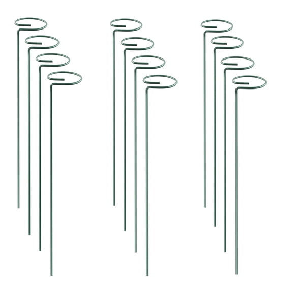 Plant Stake Support RAIKER, paquete de 12 unidades para tomates, peonías y lirios