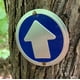 thumbnail image 4 of Trail Marker Wild Drifter Bright reflectante, paquete de 24 unidades, color azul, 4 of 9