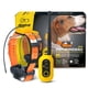 thumbnail image 1 of Rastreador Gps Para Perros Y Collar Electrónico Pathfinder 2, 1 of 9