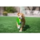 thumbnail image 3 of Juguete para perros con tres guisantes en una vaina con 3 bolas chirriantes, 3 of 3