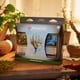thumbnail image 3 of MTG - Kit de inicio de Bloomburrow (ESPAÑOL) verde, 3 of 3