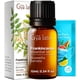 thumbnail image 1 of Aceite Esencial Gya Labs de Incienso 10ml 100% Puro, 1 of 7