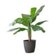 thumbnail image 2 of Planta Artificial Banano 120 cm. / 12 hojas Premium., 2 of 5