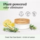 thumbnail image 4 of Recambio de gel purificador de aire Azuna totalmente natural para eliminar olores, 350 ml, 4 of 8
