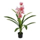thumbnail image 2 of Planta Artificial Decorativa Adorno Jardín Moderno Hogar Jhn, 2 of 3