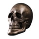 thumbnail image 4 of Escultura De Estatuilla De Calavera De Estatua De Cabeza De Esqueleto Para Oficina De Accesorios De Fotografía De Escritorio, 4 of 5