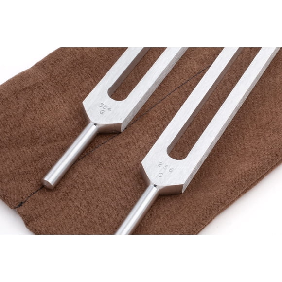 Sonificación de sonido Tuning Forks Body Tuners de 256 Hz y 384 Hz (C&G)