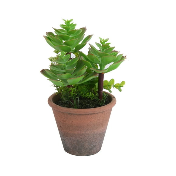Planta Artificial Suculenta 20 cm