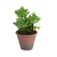 Homeessentials - Planta Artificial Suculenta 20 Cm