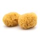 thumbnail image 1 of Sea Sponge Neptune Caribbean Sea, paquete de 2 unidades, tamaño mediano, 13-15 cm, 1 of 4