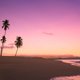 thumbnail image 3 of Incienso Nippon Kodo FM03 Hawaii Sunset 15 varillas + portaincenso, 3 of 3