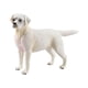 thumbnail image 4 of Modelos De Estatuillas De Perros Emulacionales Pintados A Mano Para Decoración De Fiestas Temáticas Labrador Blanco, 4 of 5