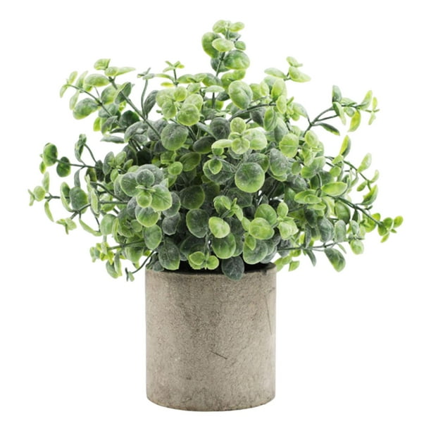 Planta Suculenta Falsa Artificial En Maceta Mini Plantas En Maceta Decoración De Jardín Para El Hogar Desmodium