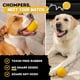 thumbnail image 3 of Pelota Para Perros Indestructible De Repuesto De Por Vida, 3 of 8