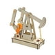 thumbnail image 5 of Stem Toys Kits De Construcción Científica De Madera, Juguete Educativo Para Niños, Juguete Científico, 5 of 5
