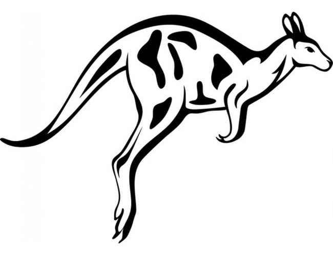 Rienda Libre Graphics - Decomural Jumping Kangaroo Wild Animals Ws-17670