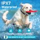 thumbnail image 5 of Collar antichoque para adiestramiento de perros Nikketta, 4500 pies, control remoto, impermeable, 5 of 8