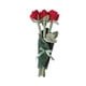thumbnail image 2 of Bonita Muñeca De Peluche De Flores, Suave, Decoración Para El Hogar, Bonita Y Creativa, Para Esposa, Hija Y Niñas, Color Rojo, 2 of 5